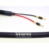 퍼스트 오디오 디자인 Aqueous Aureus / PAD Aqueous Aureus / 스피커케이블(3M)